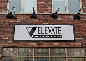 Elevate Grooming Studio