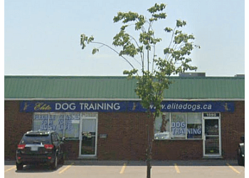 Elite Dog Training