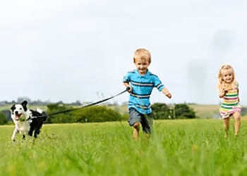 Oshawa dog trainer Elite K9 Training