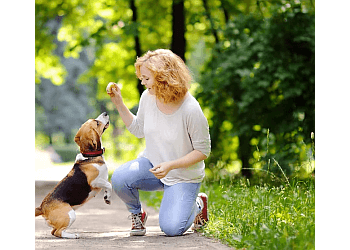 Oshawa dog trainer Elite K9 Training