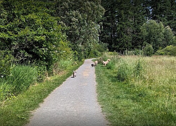 Victoria hiking trail Elk/Beaver Lake Regional Park