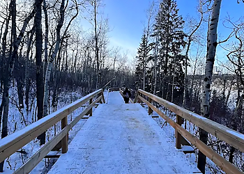 Emily Murphy Park - Edmonton, AB Hiking Trails - Scenic View Image