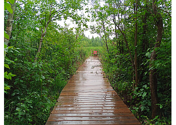 Kawartha Lakes hiking trail Emily Provincial Park