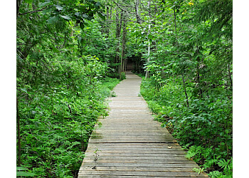Kawartha Lakes hiking trail Emily Provincial Park