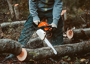 Repentigny tree service Emondage Repentigny