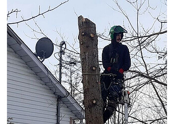 Saint Jean sur Richelieu Services d'arboriculteur Emondage Saint-Jean