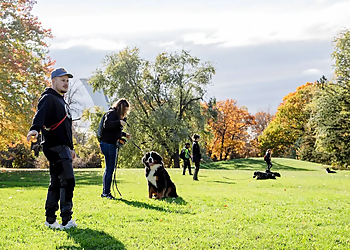 Montreal dog trainer Entraînement Canin Montréal Inc.