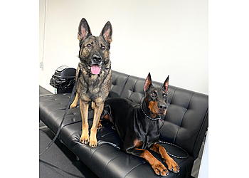 Montreal dog trainer Entraînement Canin Montréal Inc.