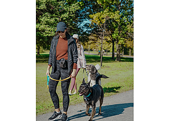Montreal dog trainer Entraînement Canin Montréal Inc.