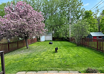 Entretien de pelouse C. Bélanger - Levis, QC Lawn Care Services - Service Highlights