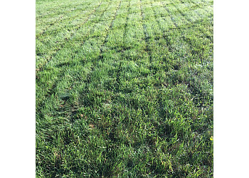 Kingston lawn care service Enviro Masters Lawn Care