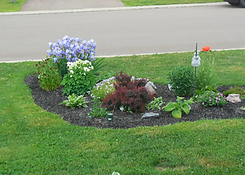 Moncton Service D'Entretien De Pelouse Enviro Masters Lawn Care Moncton