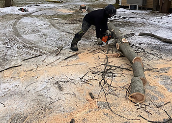 Essouchage Dulude - Saint Jean sur Richelieu, QC Tree Services - Field Work Image