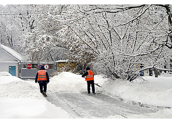 Everest Snow Removal & Snow Plowing Service