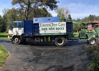 Stouffville tree service Everest Tree Care Ontario INC.