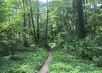 Everett Crowley Park - Vancouver, BC Sentiers De Randonnée - Nature Image