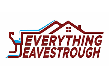 Niagara Falls gutter cleaner Everything Eavestrough Inc.
