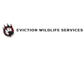 Montreal animal removal Eviction Wildlife Services