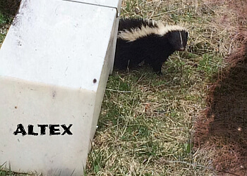 Sherbrooke animal removal Extermination Altex