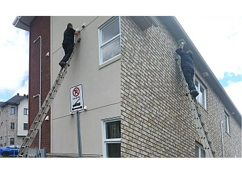 Gatineau animal removal Extermination Parasitex