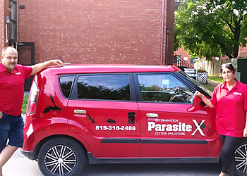 Extermination Parasitex - Exterminateur Gatineau, Gestion Parasitaire et Contrôle Animalier - Gatineau, QC Animal Removal - Team Working Image