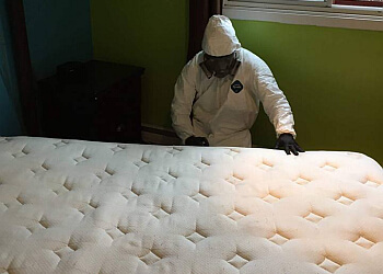 Laval Services d'extermination de parasites Exterminations Target