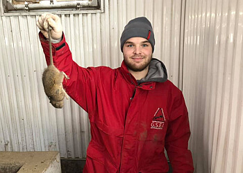 Shawinigan pest control Exterminator GSEI Groupe Solution