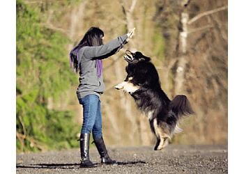 Langley dog trainer Extraordinary Canines Inc.