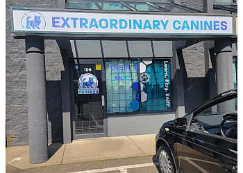 Langley dog trainer Extraordinary Canines Inc.