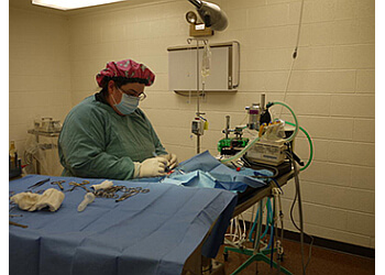 Barrie Cliniques Vétérinaires Ferris Lane Animal Hospital