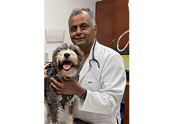 Pickering veterinary clinic Forestbrook Pet Hospital