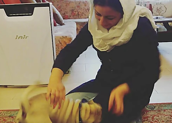 Fabulous Paw - North Vancouver, BC Dog Trainers - Dog Training Image