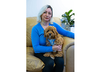 North Vancouver Dresseurs De Chiens Fabulous Paw