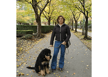 North Vancouver dog trainer Fabulous Paw image 1