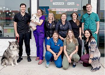 3 Best Veterinary Clinics in Kelowna, BC - Expert ...