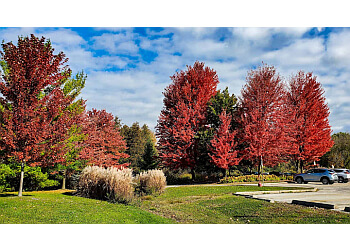 Newmarket public park Fairy Lake Park