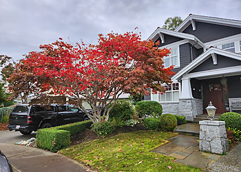 Nanaimo landscaping company Fairytale Landscaping and Drainage