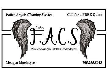 Fallen Angels Cleaning Services