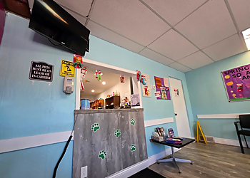 Bridgeview Animal Hospital - Niagara Falls, ON Veterinary Clinics