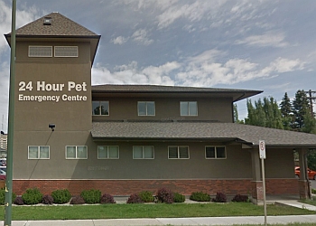 3 Best Veterinary Clinics In Lethbridge Ab Expert Recommendations