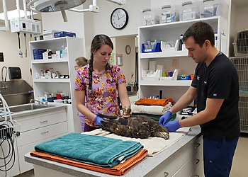 Family Pet Hospital & 24 Hour Pet Emergency Centre - Lethbridge, AB Veterinary Clinics - Medical Procedure Image