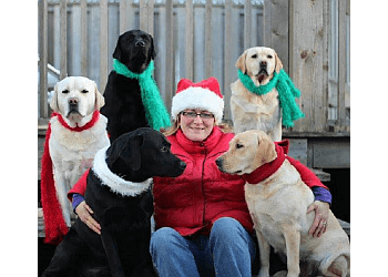 Chatham dog trainer  FargoRidge Boarding Kennels image 1