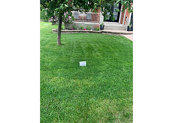 Longueuil Service D'Entretien De Pelouse Ferti Expert