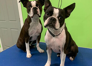 Red Deer Salons de Toilettage Pour Animaux De Compagnie Fetch Haus