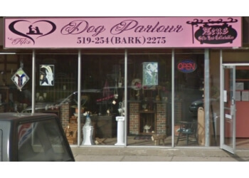 Fifi's Dog Parlour Fifi's Dog Parlour