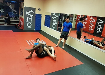 Fight Den Krav Maga
