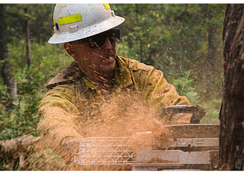 Richmond Hill tree service Five Star Tree Services Inc.