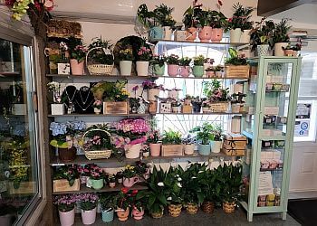 Repentigny Fleuristes Fleuriste Aux Fines Fleurs