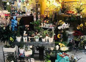 Granby florist Fleuriste Fleur et Passion