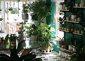 Quebec Fleuristes Fleuriste Jardins Vitrum Hortis